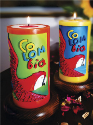 Vela Decorativa en Relieve: Guacamaya / handmade candle: scarlet macaw